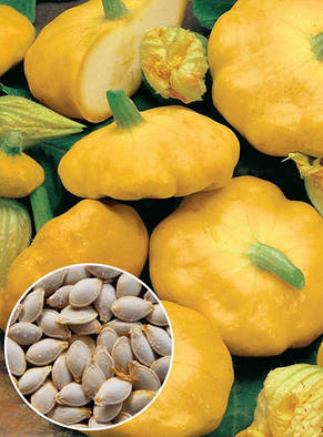 Патісон Жовтий 100 г, вагове насіння Яскрава, фото 2
