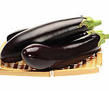 Насіння Баклажан Найт Леді F1 30шт / United Genetics, фото 3