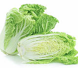 Насіння Капуста Пекінська Саммер Хайленд F1 20 шт / NongWoo Bio, фото 4