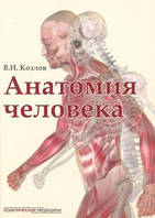 Козлов В.И. Анатомия человека. Учебник для медицинских вузов (брак)