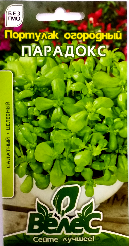 Насіння портулаку городнього Парадокс 0,5 г ТМ ВЕЛЕС