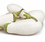 Баклажан Бібо F1 15 шт /Seminis, фото 4