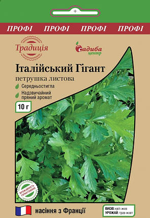 Насіння петрушки Італійський Гігант 10 г, Традиція, фото 2