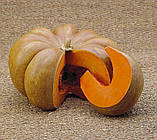 Гарбуз Мускат де Прованс 2г / Tezier, фото 3