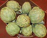 Артишок Зелений глобус 0,5 г / Hem Zaden, фото 2