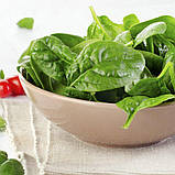 Шпинат VIP 1г / NongWoo Bio, фото 2