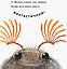 В гостях у природи. Знайомі комахи Чуб Наталія, фото 5