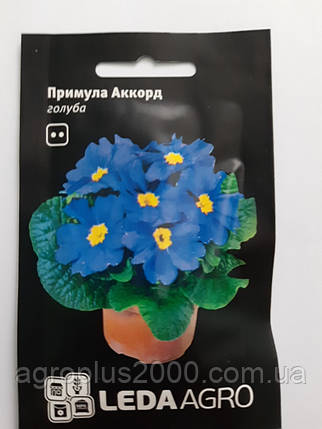 Насіння Примула Акорд Блакитне 10 насіння Hem Zaden Leda Agro, фото 1