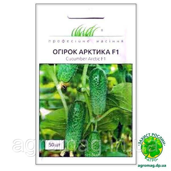 Огірок Арктика F1 50шт