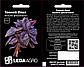 Насіння Базиліку фіолетовий Темний Опал, компактний для відкритого ґрунту та горщиків 0,5 г (LedaAgro), фото 2