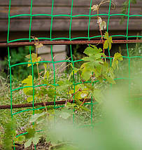 Сітка шпалерна огіркова на метраж., фото 2
