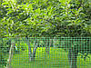Садова сітка на метраж 2 м (осередок 12мм*14мм), фото 2