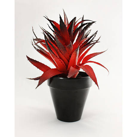 Штучне рослина, сукулент, червоне рослина, фото 2