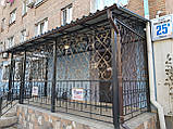 Коване крильце в Києві арт дс No17, фото 3