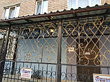Коване крильце в Києві арт дс No17, фото 4