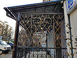 Коване крильце в Києві арт дс No17, фото 5