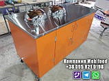 Торговий візок для фаст фуду. PT-2 (1200 мм), фото 6