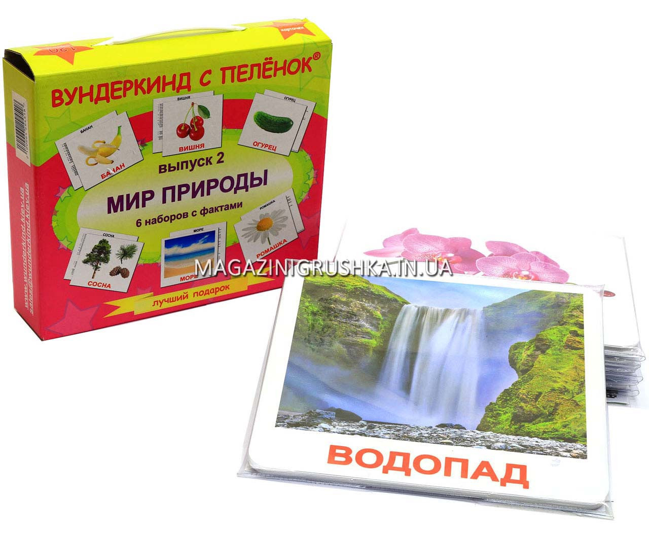 Розвиваюча гра Картки Домана Випуск 2 Світ природи «Вундеркінд з пелюшок» ламінація 6 наборів 120 карток, фото 1