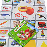 Подарунковий набір Картки Домана Англо-російський валіза Вундеркінд з пелюшок 1746 карток 34 теми, фото 4