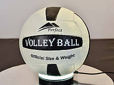 Мяч волейбольный Perfect