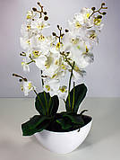 Штучна рослина, орхідея, біла, XI-126