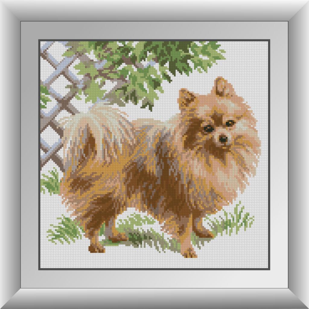 Набір алмазної мозаїки Шпіц Dream Art 30893 (34 x 34 см), фото 1