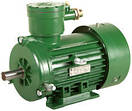 Електродвигун 2В 180S2 (22кВт/3000об / хв) ВРП, ВР, АИУ, АВ, АВР, ВРА, фото 2