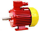 Електродвигун BAO 280L8 (75кВт/750об / хв) АІМ, ВА, В, 3В, ВАО2, 1ВАО, фото 2