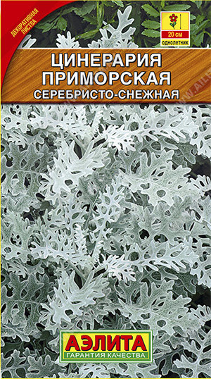 Насіння Цинерарія Срібний кораблик, 0.1 г