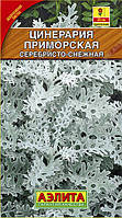 Насіння Цинерарія Срібний кораблик, 0.1 г