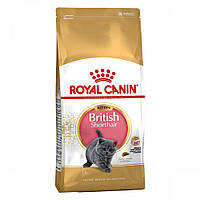 Royal Canin Kitten British Shorthair британских короткошерстых котят 2 кг