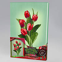 Вишивка гладдю на підрамнику Тюлюпани, VGL-02-02