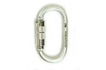 Карабін First Ascent Ovum Autolock Keylock