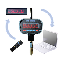Весы крановые ЗЕВС с радиоканалом (3000 кг)