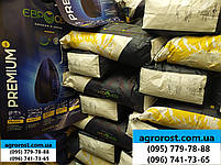 Гібрид соняшника під гранстар НС СУМО 007. Насіння соняшника НСХ 6059 стійке до вовчка шости рас A-F. Екстра, фото 4