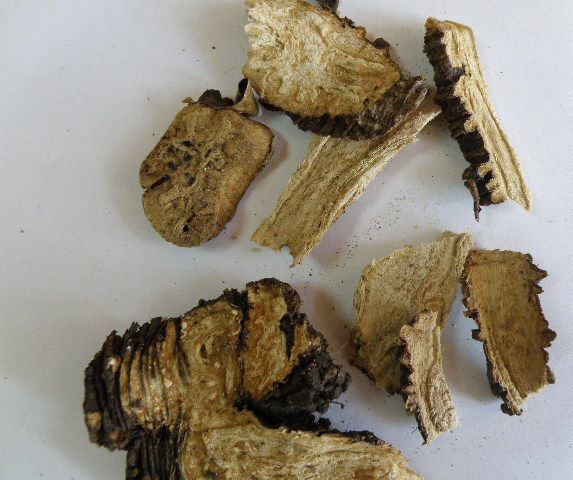 Купить Ферула Джунгарская корень 50 грамм / Омик в Харькове от компании ...