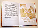 Книга "Свята земля. Лірика" Омелян Лупул, фото 6