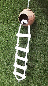 Іграшка для папуг Кокос із драбинкою