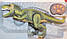 Інтерактивний Smart Динозавр 45 см на радіокеруванні TT352, фото 6