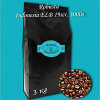 Кофе зерновой Robusta Indonesia ELB 19scr 3000г. БЕСПЛАТНАЯ ДОСТАВКА от 1кг!