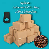 Кофе молотый Robusta Indonesia ELB 19scr 100г. (24шт/ящ)