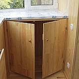 Шкаф на балкон, фото 3