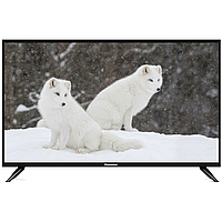 Телевізор Panasonic 24" Full HD Smart TV Android 13.0.4 DVB-T2+DVB-С Гарантія!