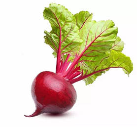 Буряк столовий