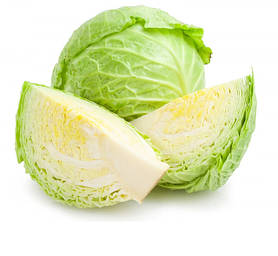 Капуста білокачанна