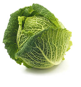 Капуста савойська