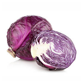 Капуста червонокачанна