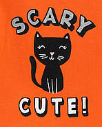 Кофточка + Штани Carters для дівчинки 9 міс 69-72 див. Комплект двійка, фото 2