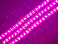 Светодиодный модуль розовый (smd5730 3шт, 66мм) LED модуль 5730, 3LED, 1.5W, IP67, DC12V