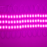 Світлодіодний додаток рожевий (smd5730 3шт, 66м) LED модуль 5730, 3LED, 1.5W, IP67, DC12V, фото 8